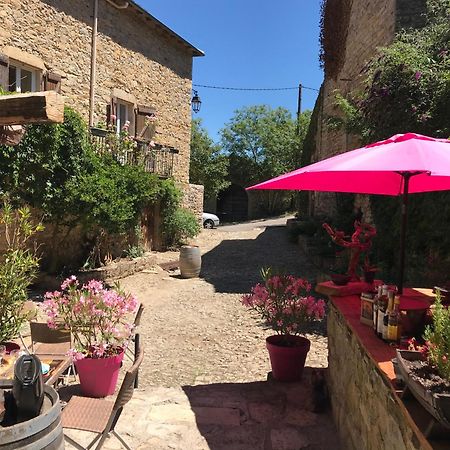 Saint-Jean-dʼAlcapiès Domaine D'Alcapies B&B 외부 사진