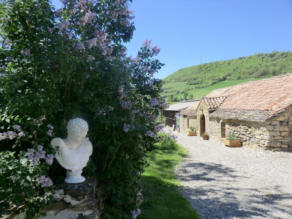 Saint-Jean-dʼAlcapiès Domaine D'Alcapies B&B 외부 사진