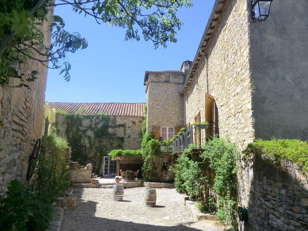 Saint-Jean-dʼAlcapiès Domaine D'Alcapies B&B 외부 사진