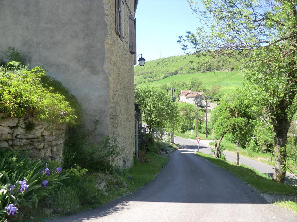 Saint-Jean-dʼAlcapiès Domaine D'Alcapies B&B 외부 사진