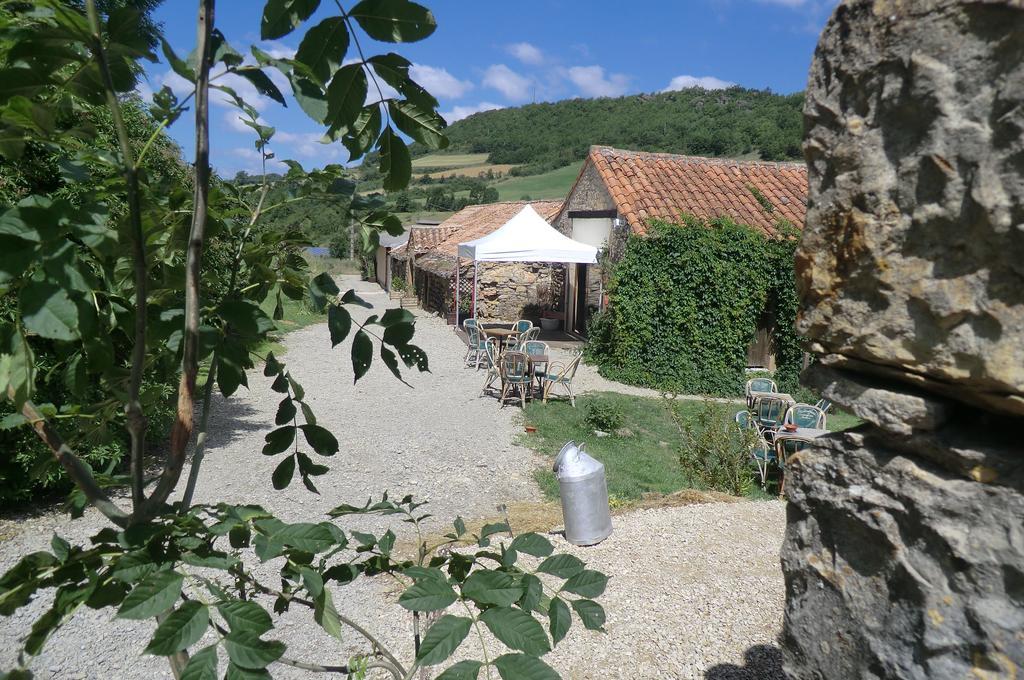 Saint-Jean-dʼAlcapiès Domaine D'Alcapies B&B 외부 사진