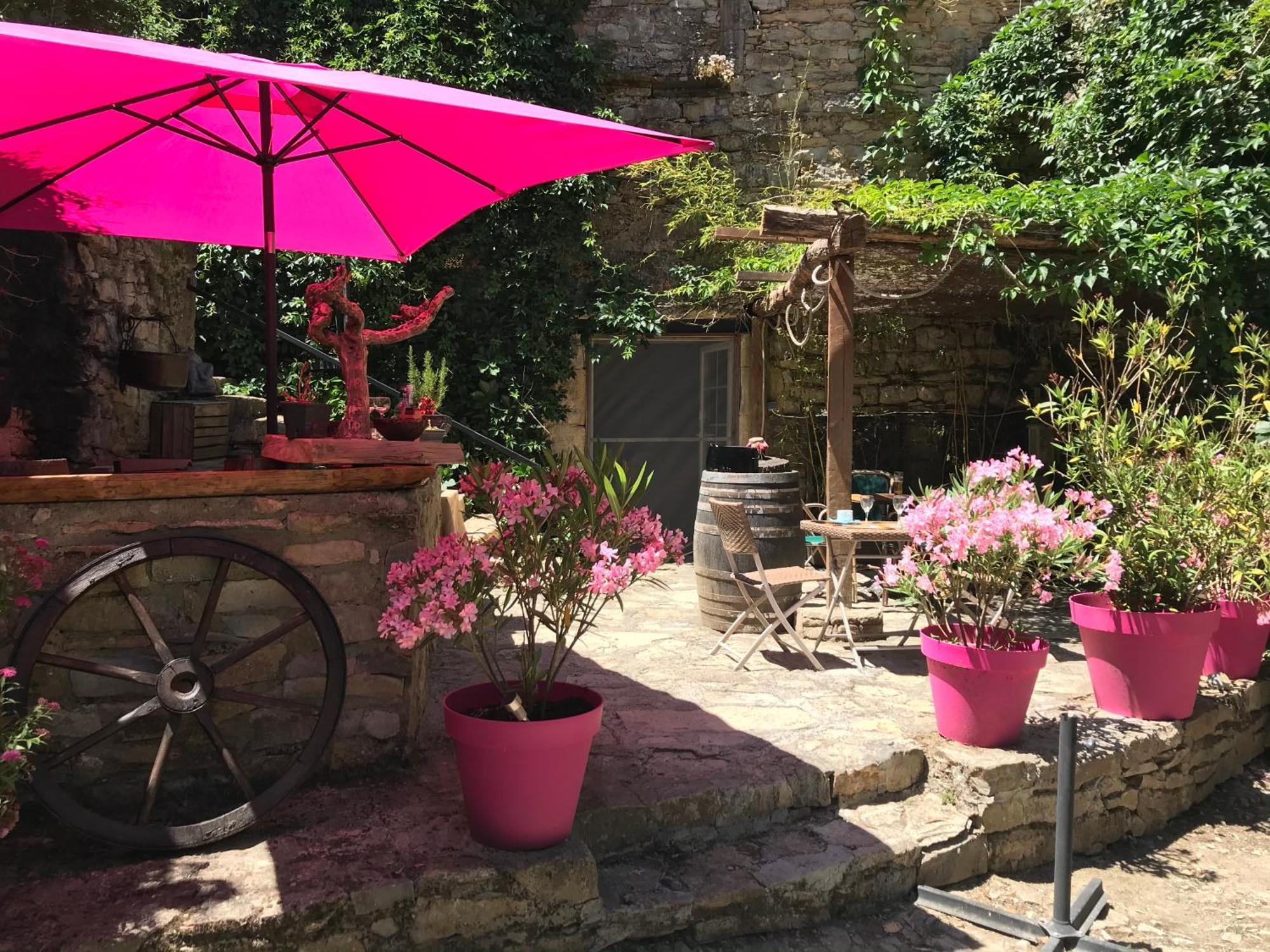 Saint-Jean-dʼAlcapiès Domaine D'Alcapies B&B 외부 사진