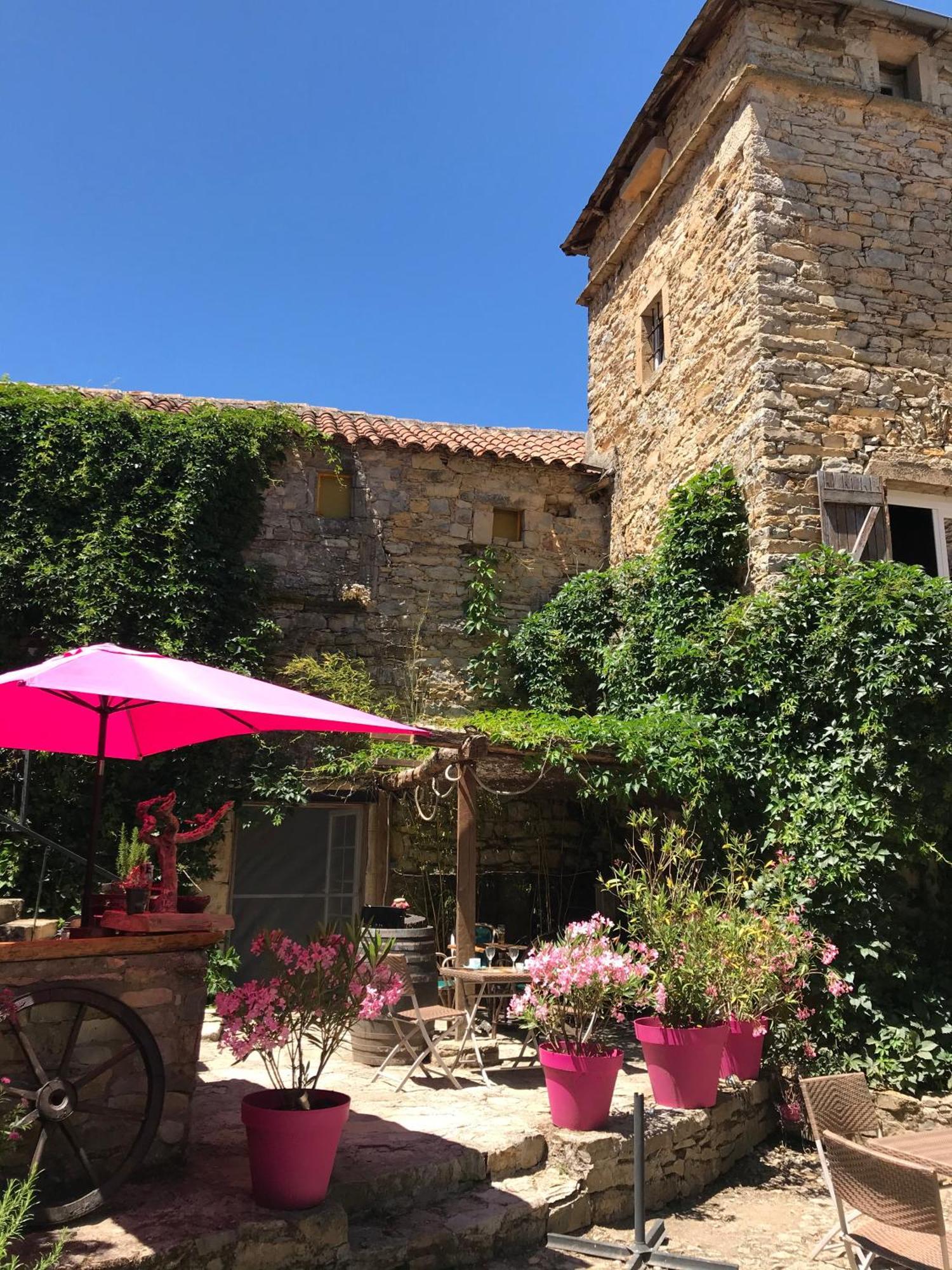 Saint-Jean-dʼAlcapiès Domaine D'Alcapies B&B 외부 사진